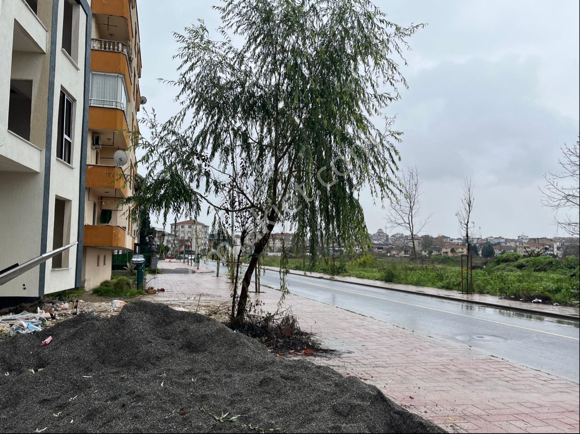 Kapalı Spor Salonu Karşısı Bahçeli 2+1 Daire - Görsel 5