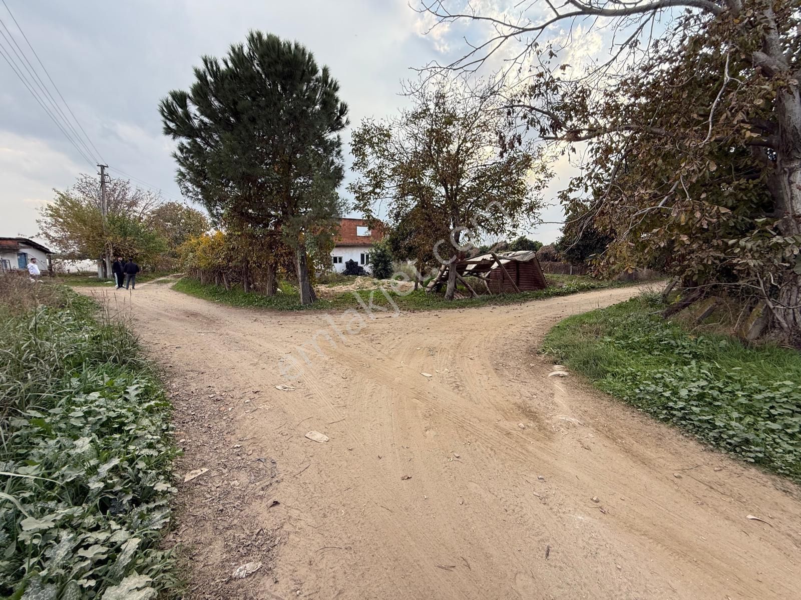 📌nazilli İsabeyli'de 10 Dönüm Satılık Tarla 📌 - Görsel 9