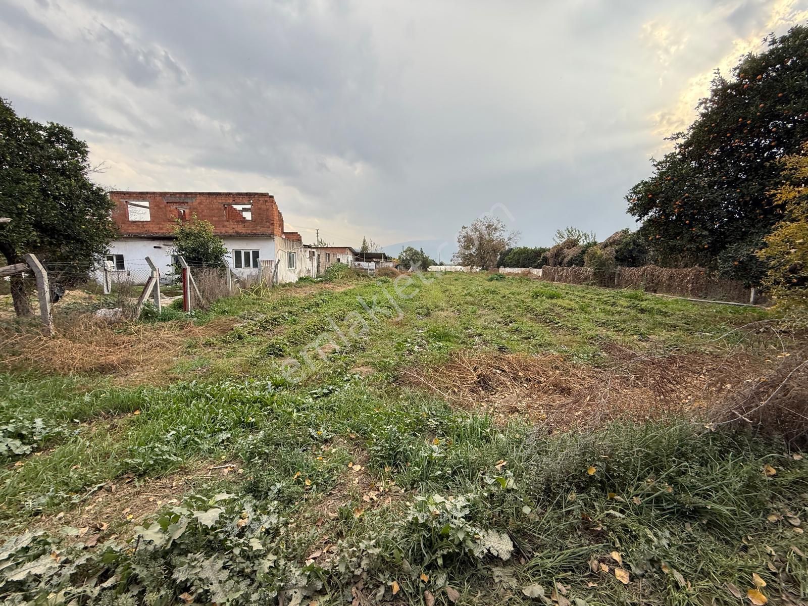 📌nazilli İsabeyli'de 10 Dönüm Satılık Tarla 📌 - Görsel 20