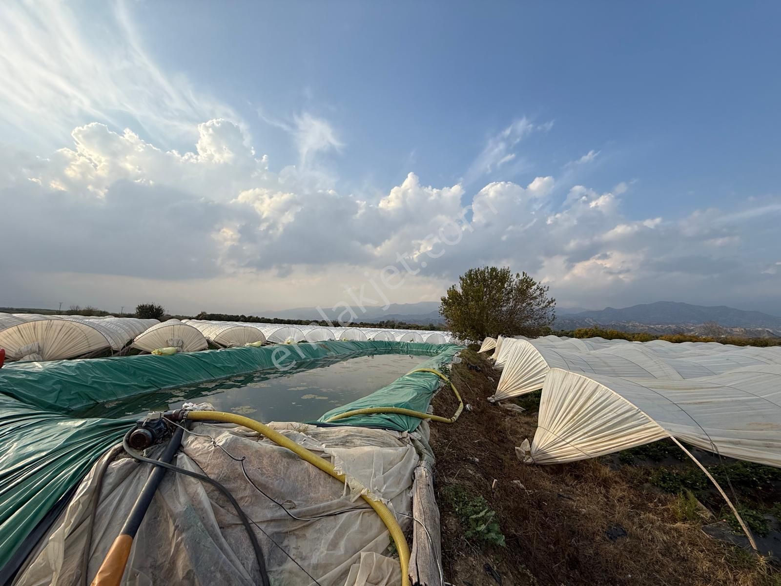 📌nazilli İsabeyli'de 10 Dönüm Satılık Tarla 📌 - Görsel 13