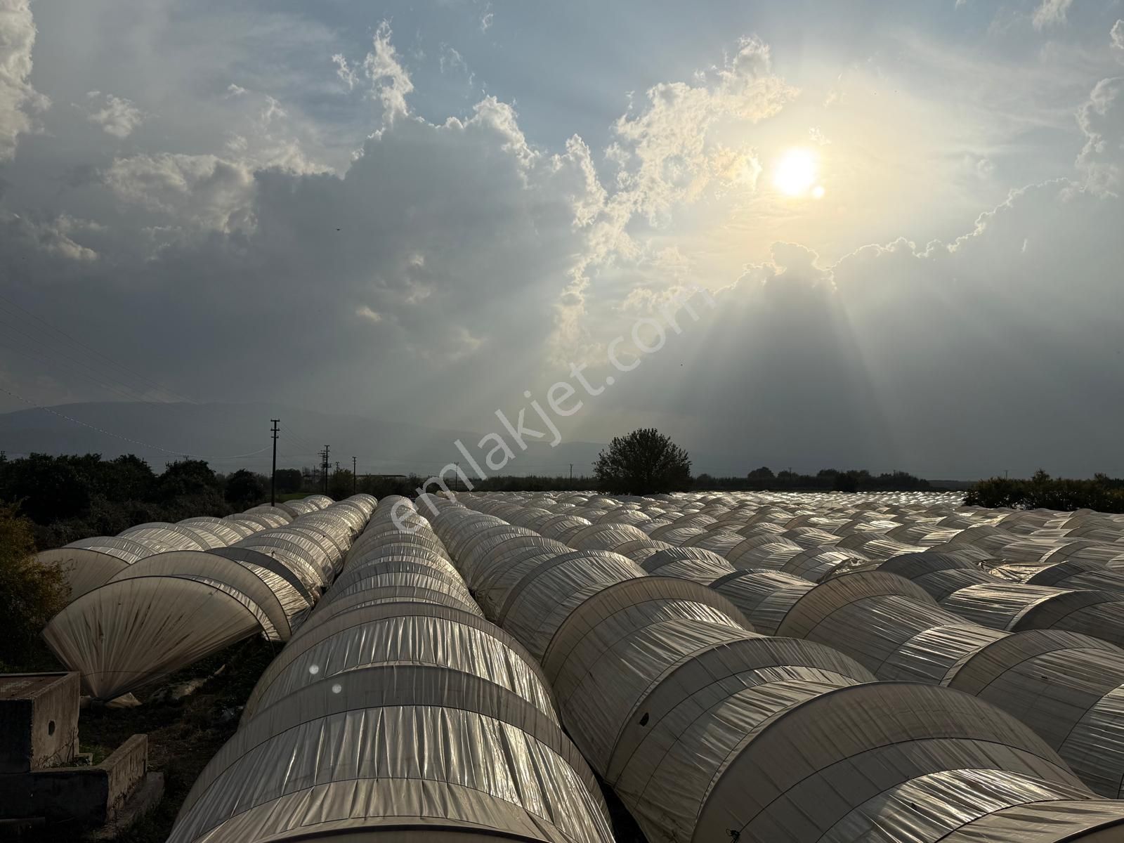📌nazilli İsabeyli'de 10 Dönüm Satılık Tarla 📌 - Görsel 21