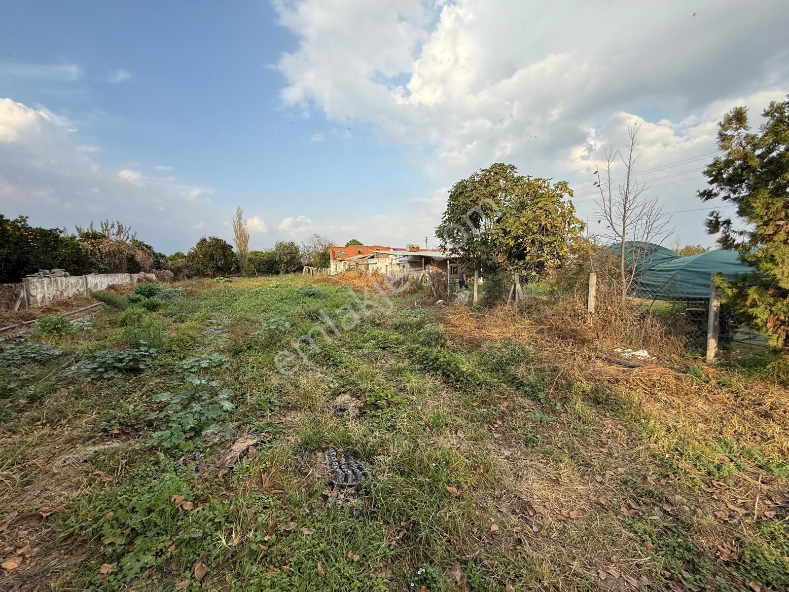 📌nazilli İsabeyli'de 10 Dönüm Satılık Tarla 📌 - Görsel 16