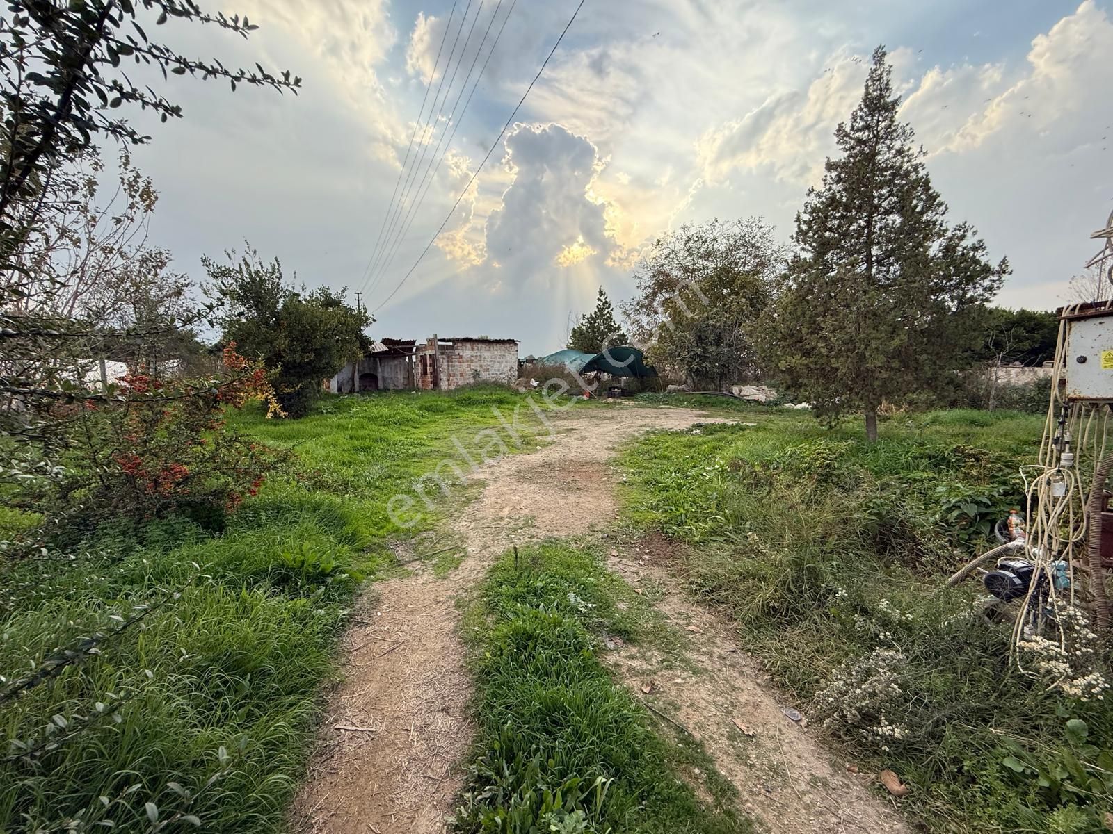 📌nazilli İsabeyli'de 10 Dönüm Satılık Tarla 📌 - Görsel 12