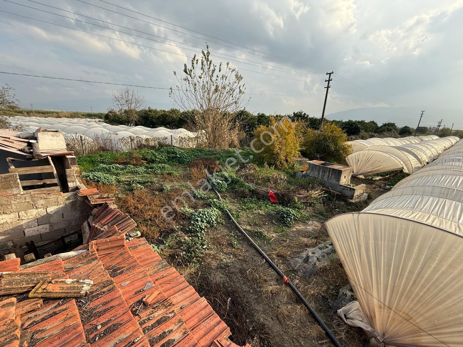 📌nazilli İsabeyli'de 10 Dönüm Satılık Tarla 📌 - Görsel 14