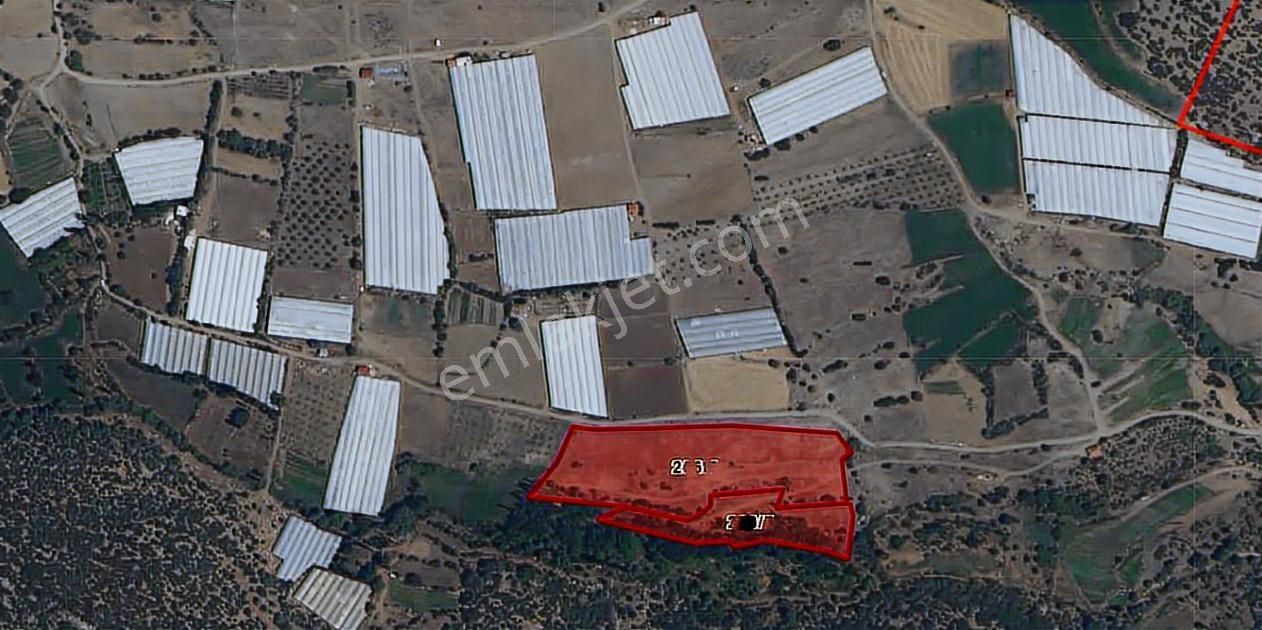 Çavdır Kozağaç'ta Seraların İçi Verimli Topraklı 18 Dönüm Bahçe - Görsel 4