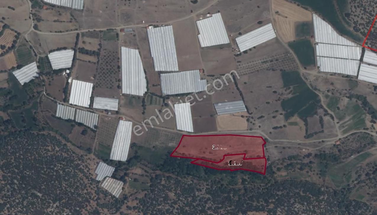 Çavdır Kozağaç'ta Seraların İçi Verimli Topraklı 18 Dönüm Bahçe