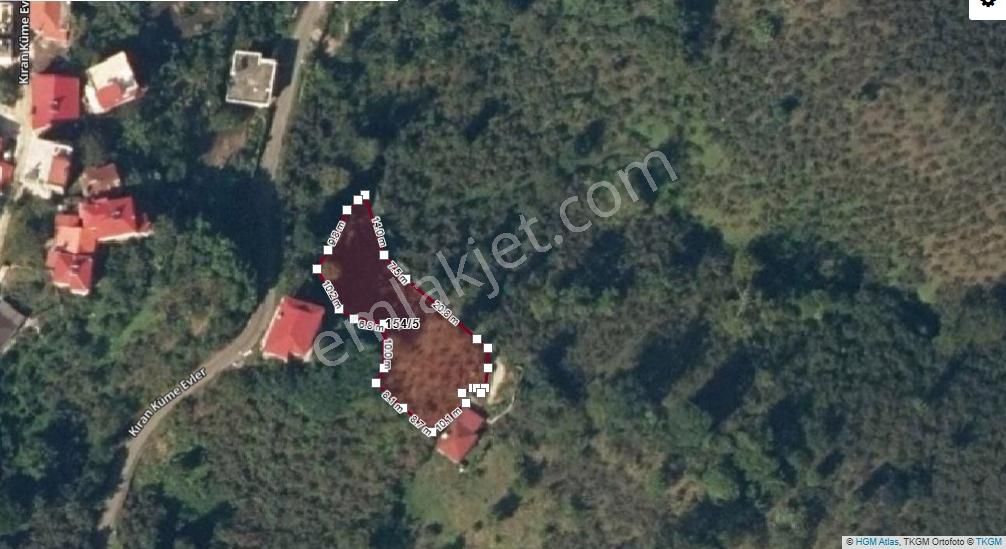 Giresun Görele Kuşçuluda Deniz Manzaralı Satılık Fındık Bahçesi - Görsel 5