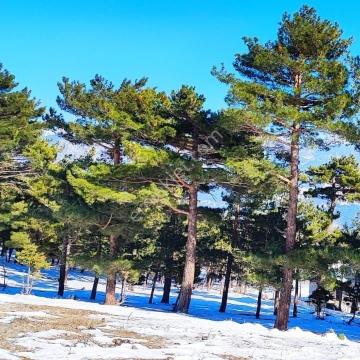 Pozantı Kar Emlak Tan Yeni Konacık Bozkırlı Mevkiinde Yaylalık 400 M2 Satılık Arsa - Görsel 10