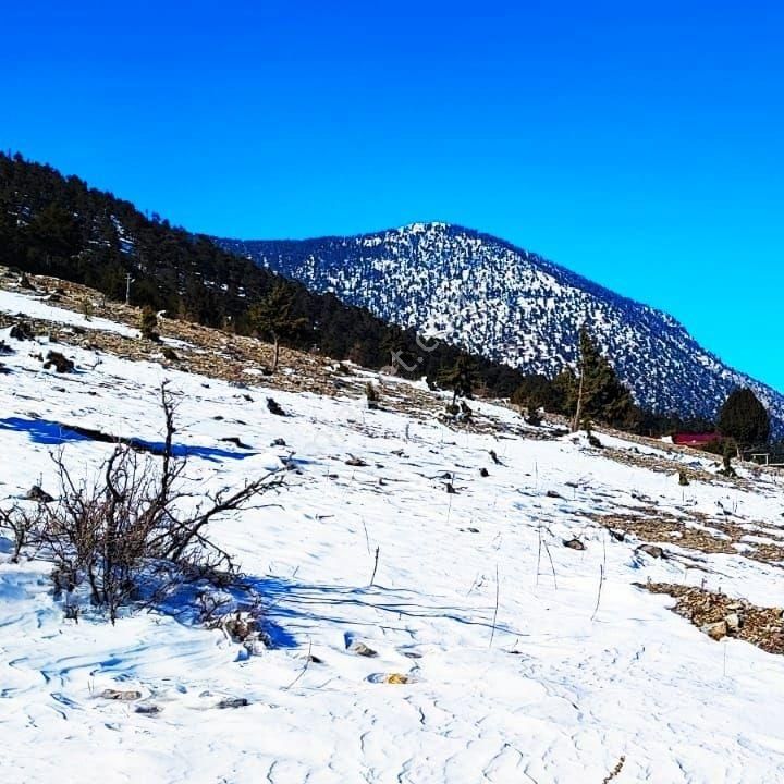 Pozantı Kar Emlak Tan Yeni Konacık Bozkırlı Mevkiinde Yaylalık 400 M2 Satılık Arsa - Görsel 2