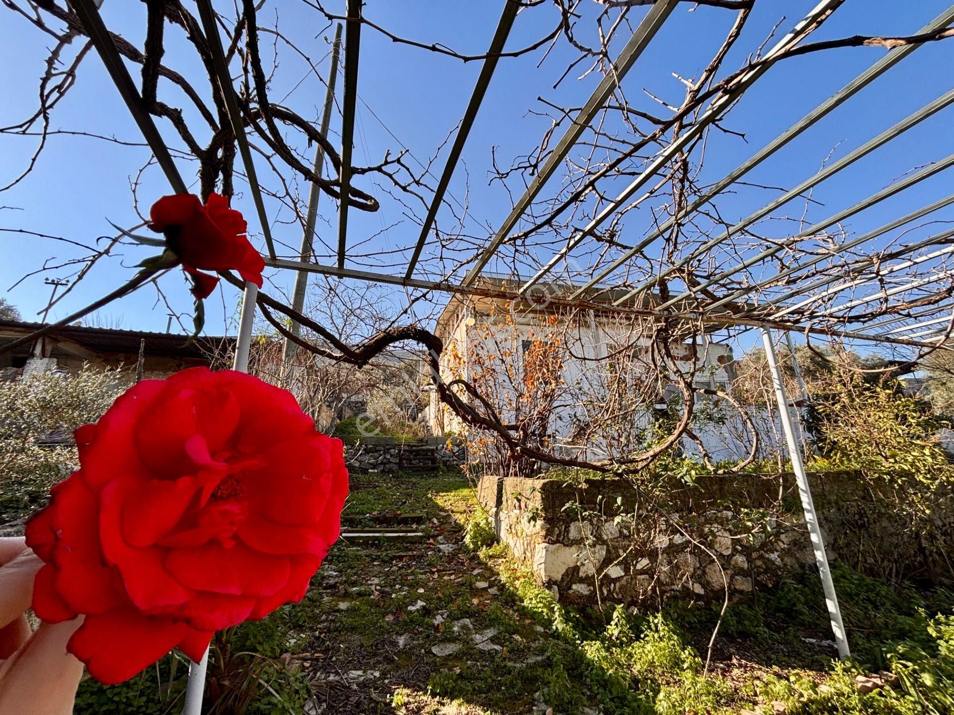 Muğla Milas Ovakışlacık’ta Ruhsatlı İki Ayrı Konut Bulunan 573 M² Arsa - Görsel 21