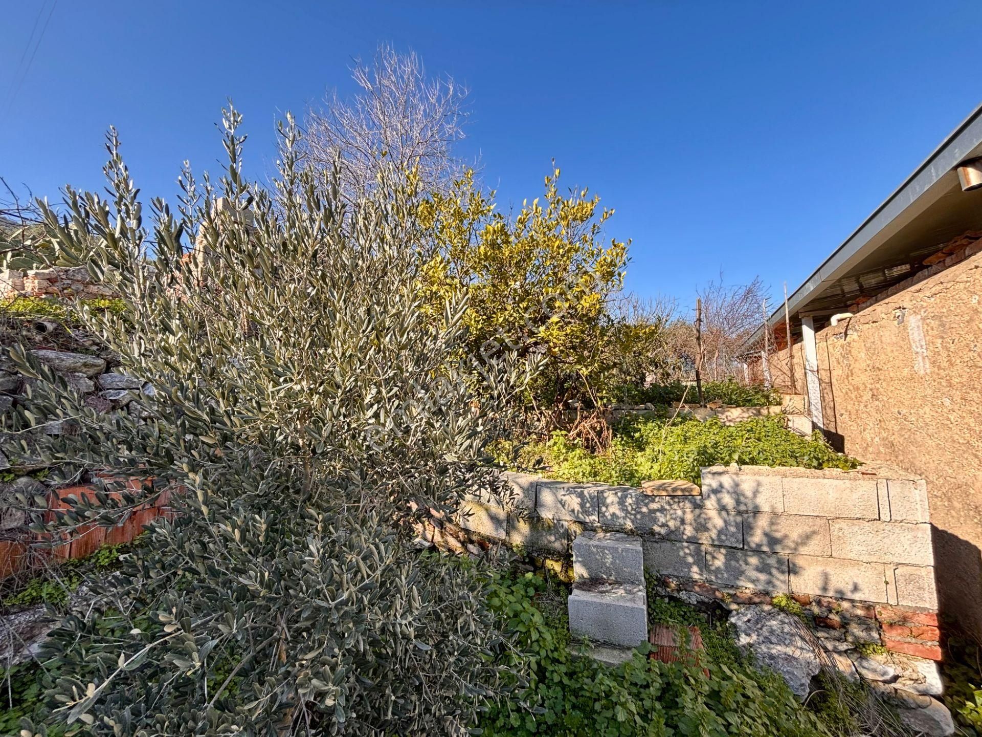 Muğla Milas Ovakışlacık’ta Ruhsatlı İki Ayrı Konut Bulunan 573 M² Arsa - Görsel 33