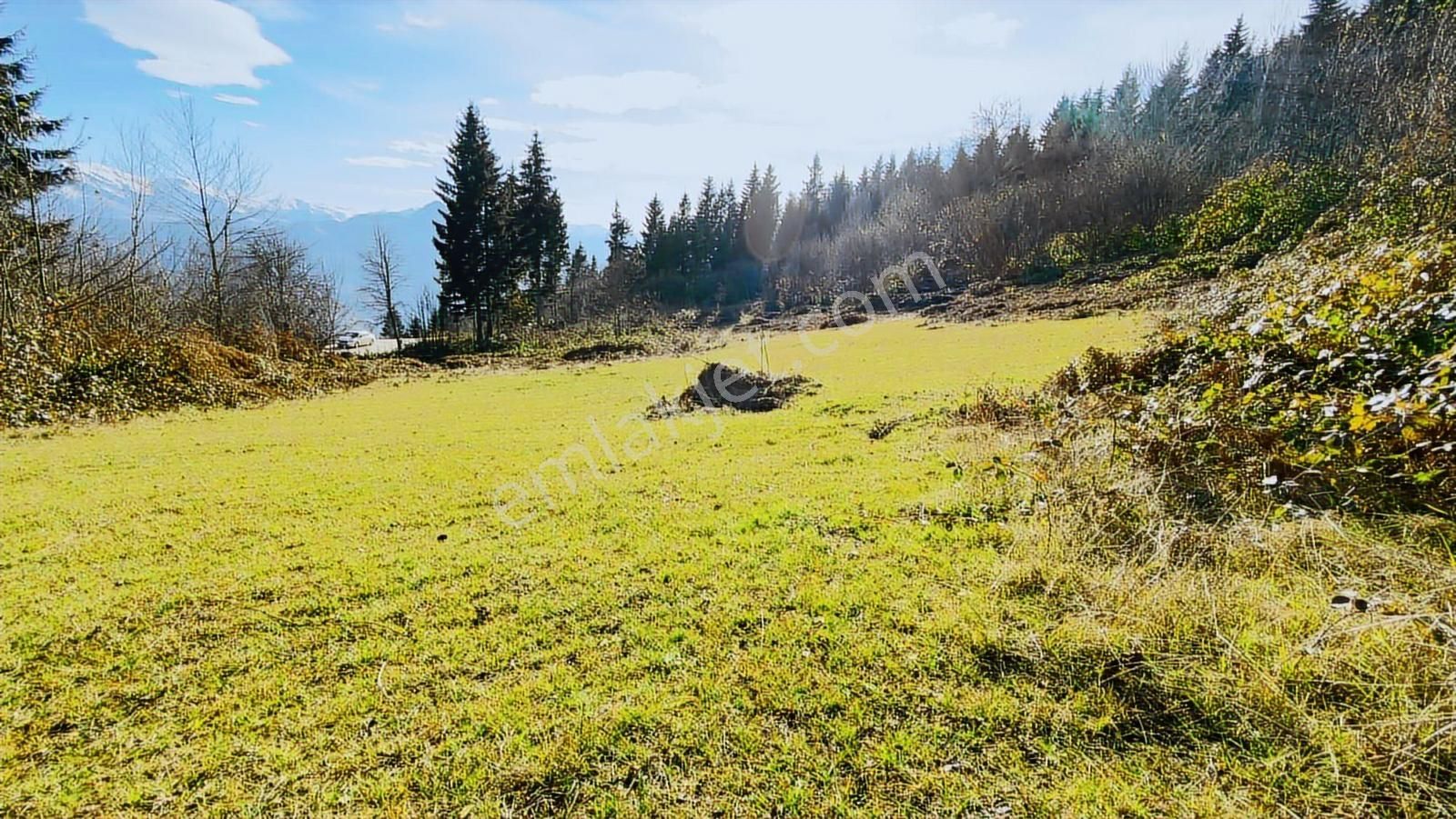 Trabzon Mataracıda Fırsat Arazi - Görsel 21