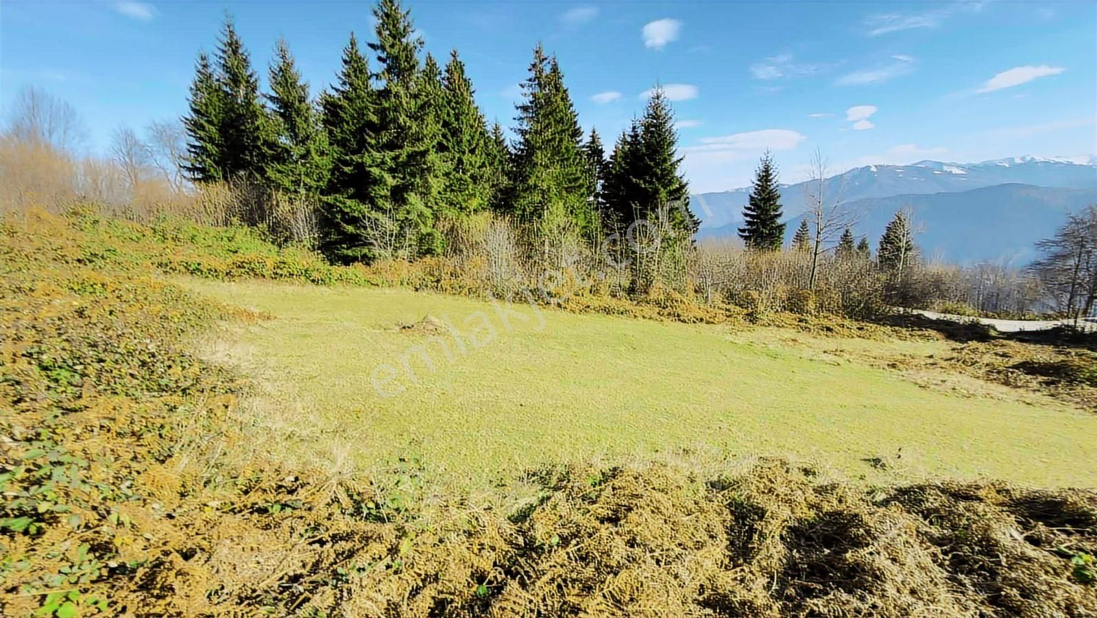 Trabzon Mataracıda Fırsat Arazi - Görsel 25