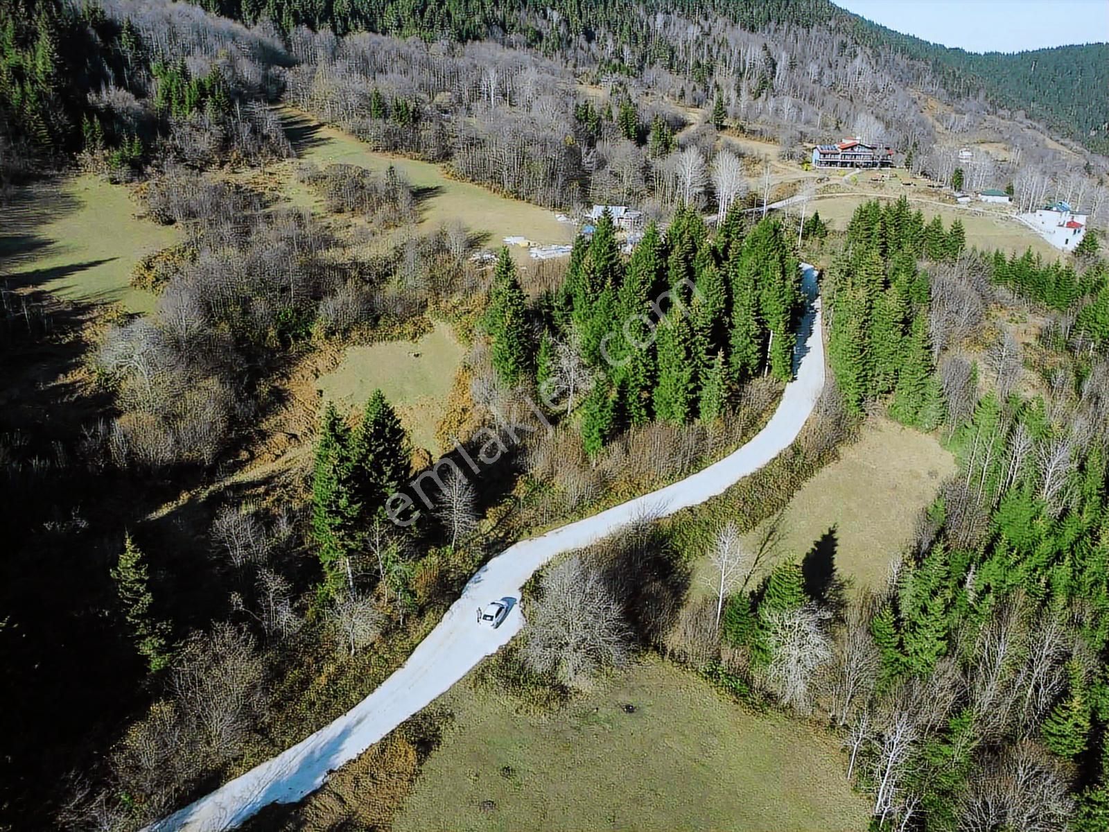 Trabzon Mataracıda Fırsat Arazi - Görsel 4