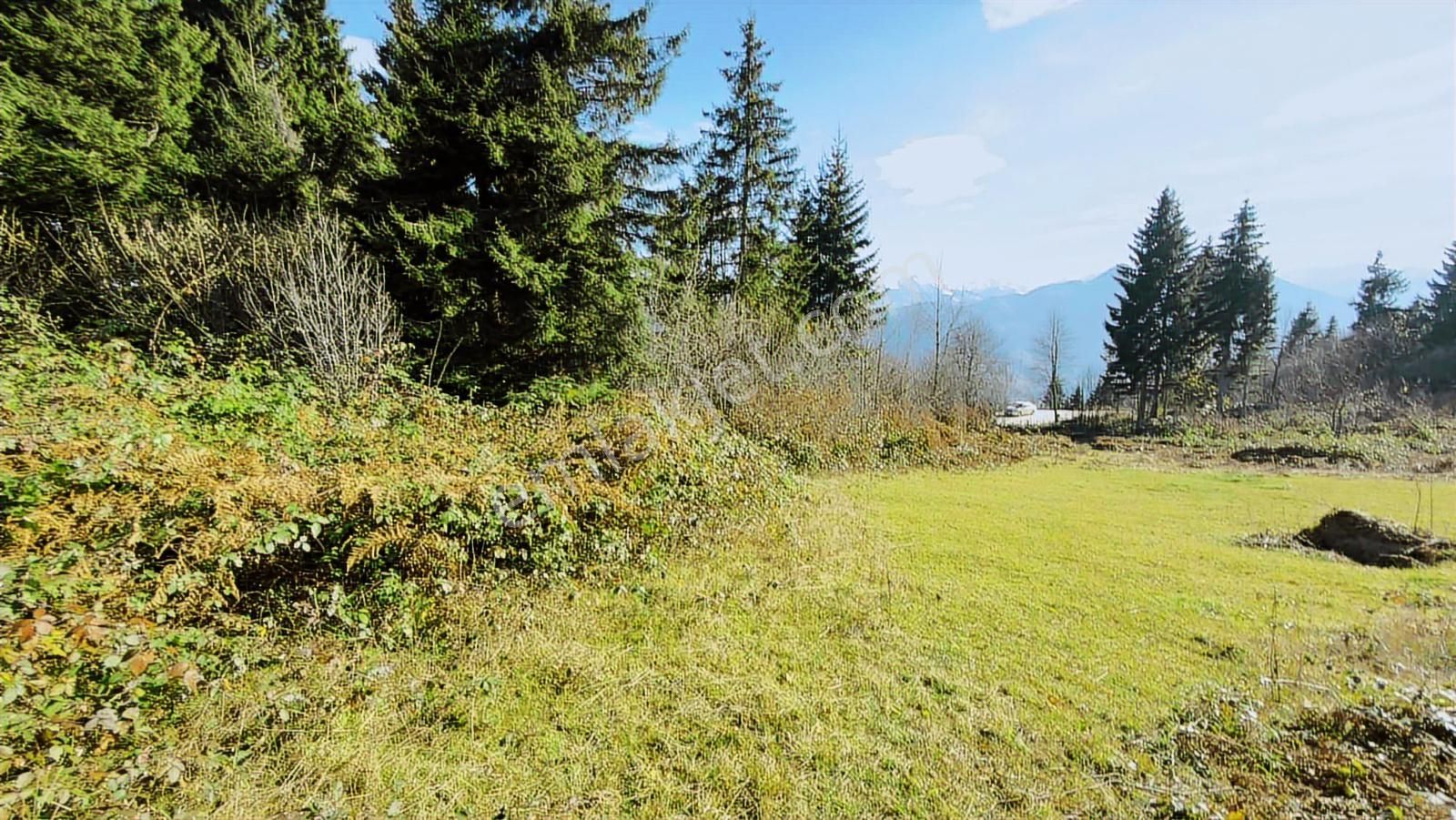 Trabzon Mataracıda Fırsat Arazi - Görsel 28