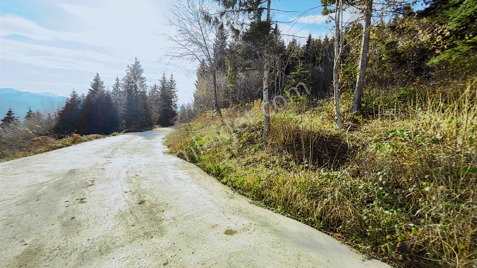 Trabzon Mataracıda Fırsat Arazi - Görsel 24