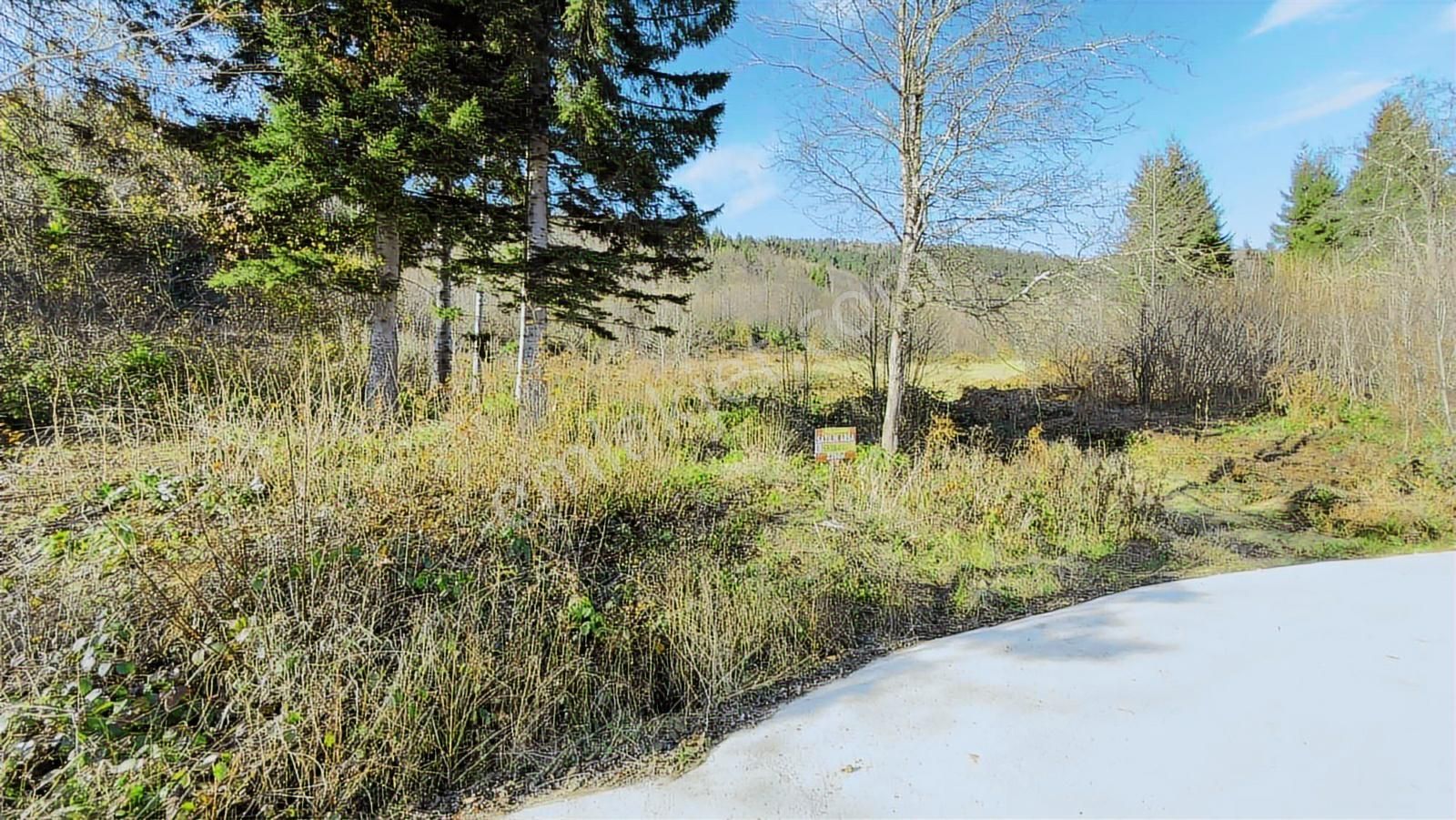 Trabzon Mataracıda Fırsat Arazi - Görsel 9