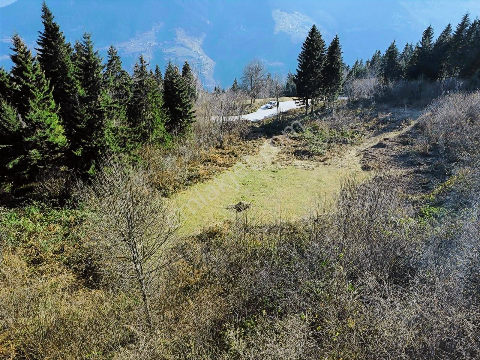 Trabzon Mataracıda Fırsat Arazi - Görsel 2