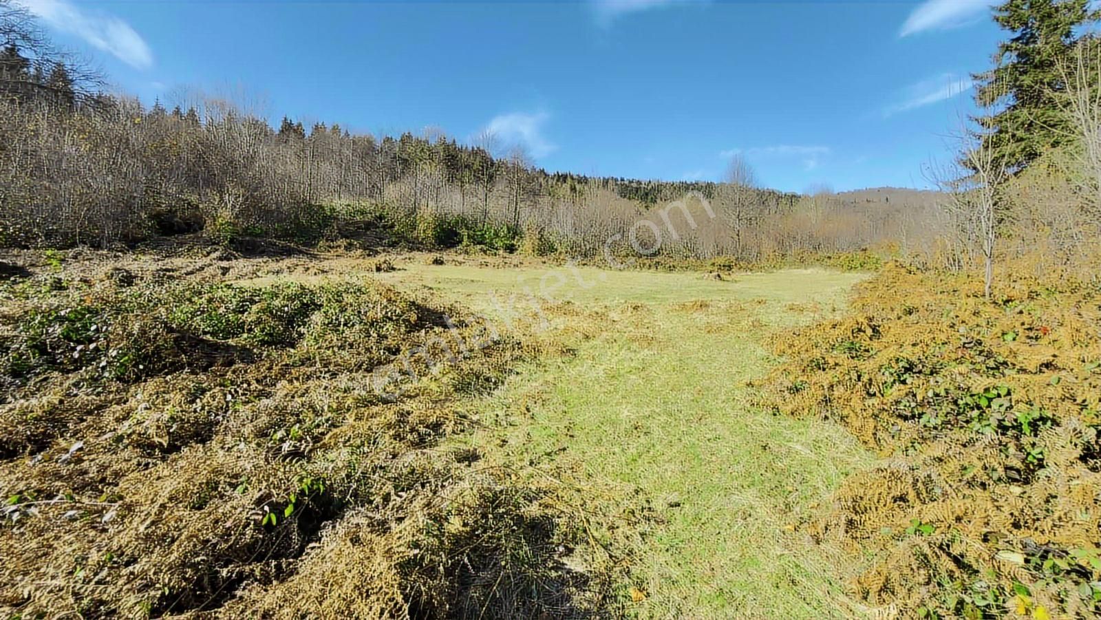 Trabzon Mataracıda Fırsat Arazi - Görsel 17