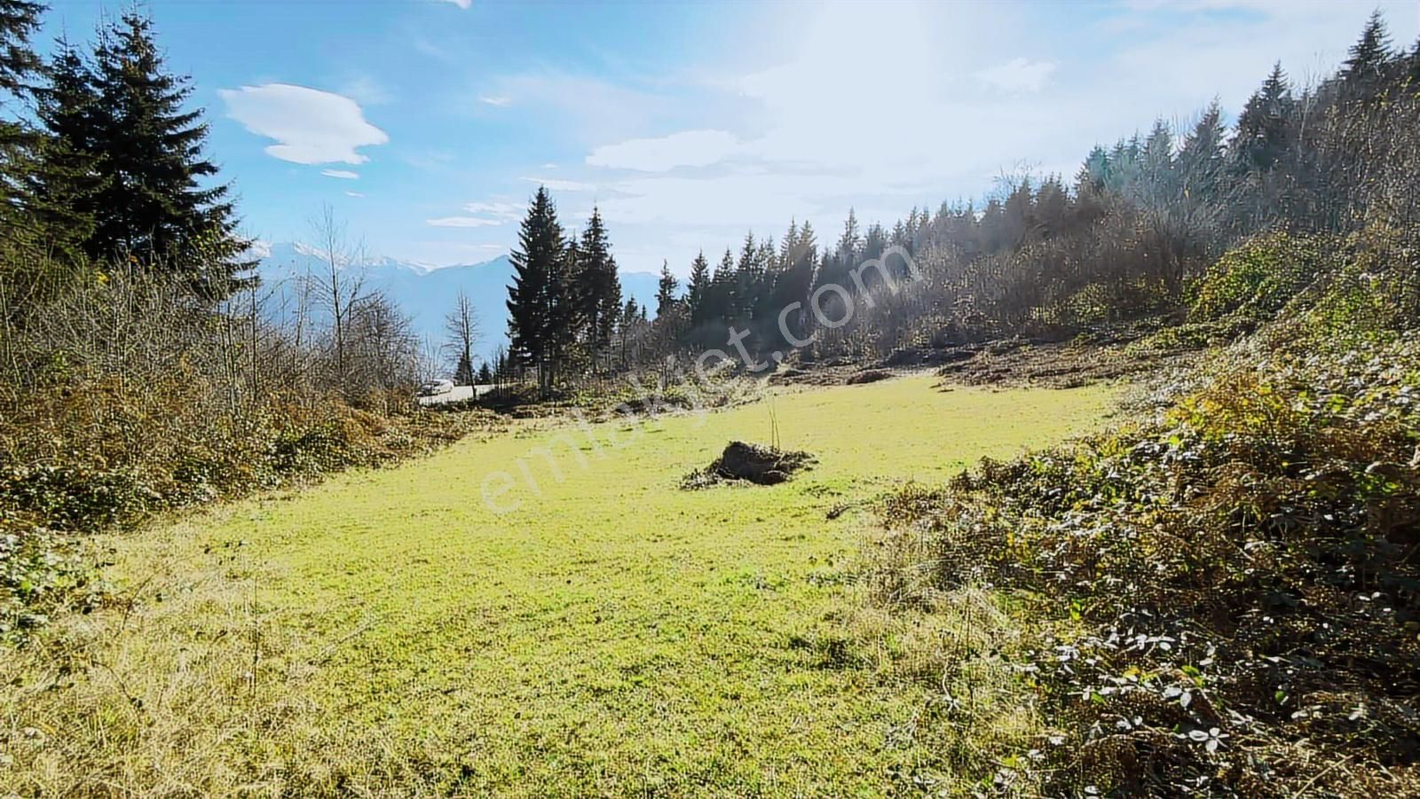 Trabzon Mataracıda Fırsat Arazi - Görsel 20