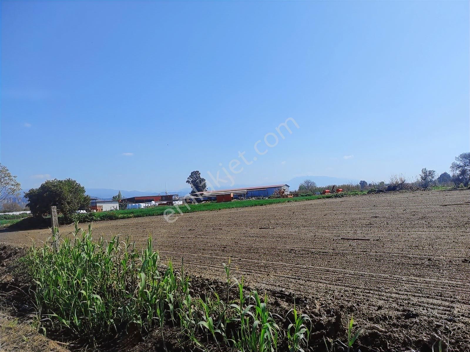 Çiftlik Yapmaya Uygun Köşe Konumda 4.500m Tarla. - Görsel 6