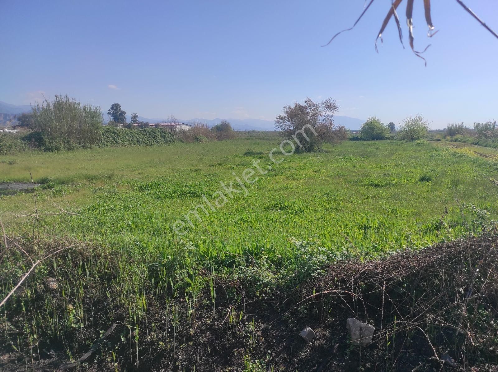 Çiftlik Yapmaya Uygun Köşe Konumda 4.500m Tarla. - Görsel 17