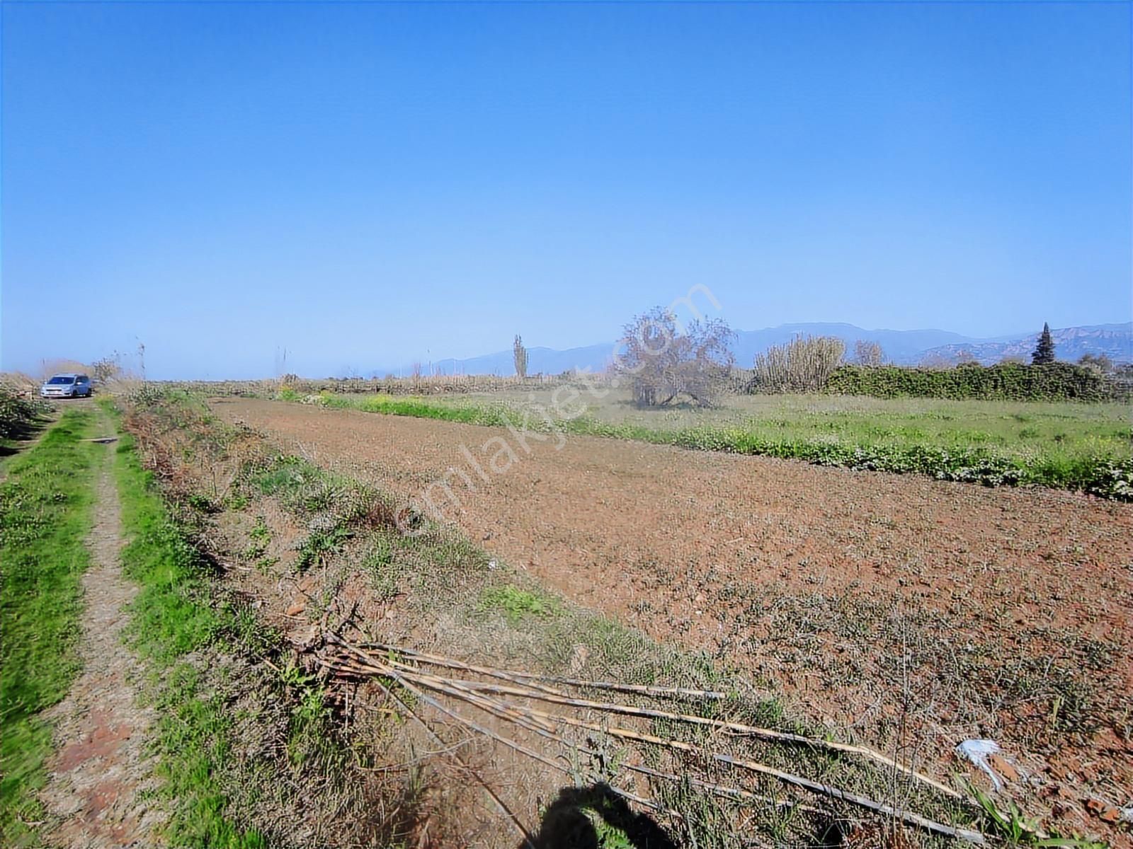 Çiftlik Yapmaya Uygun Köşe Konumda 4.500m Tarla. - Görsel 13