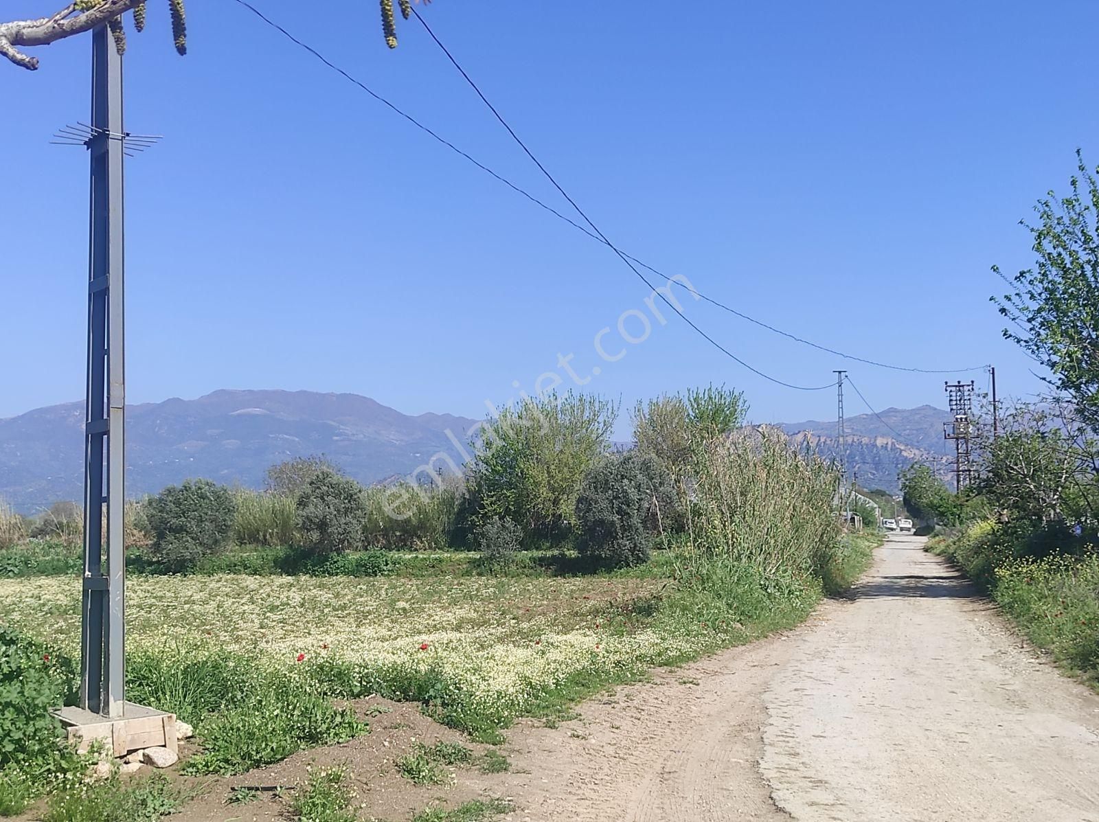 Çiftlik Yapmaya Uygun Köşe Konumda 4.500m Tarla. - Görsel 9