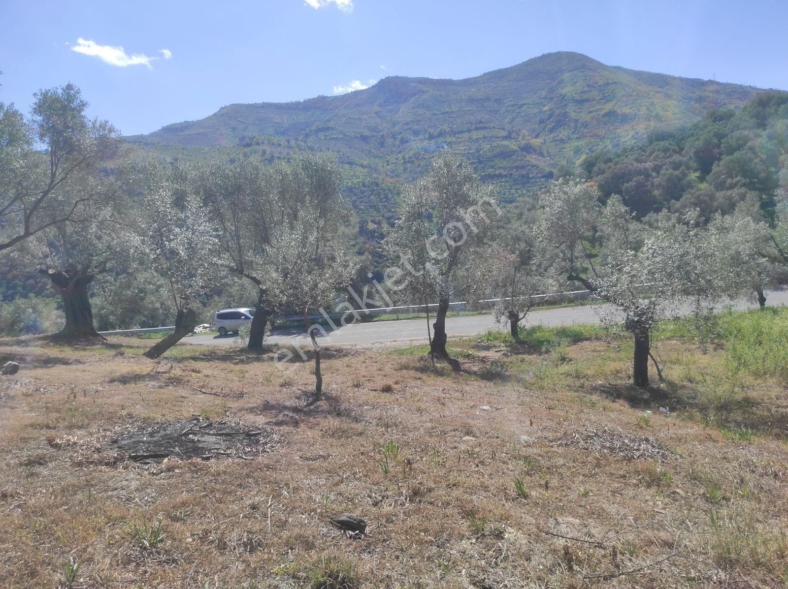 Asfalt Yola Cepheli 1.610m Zeytinlik. - Görsel 15