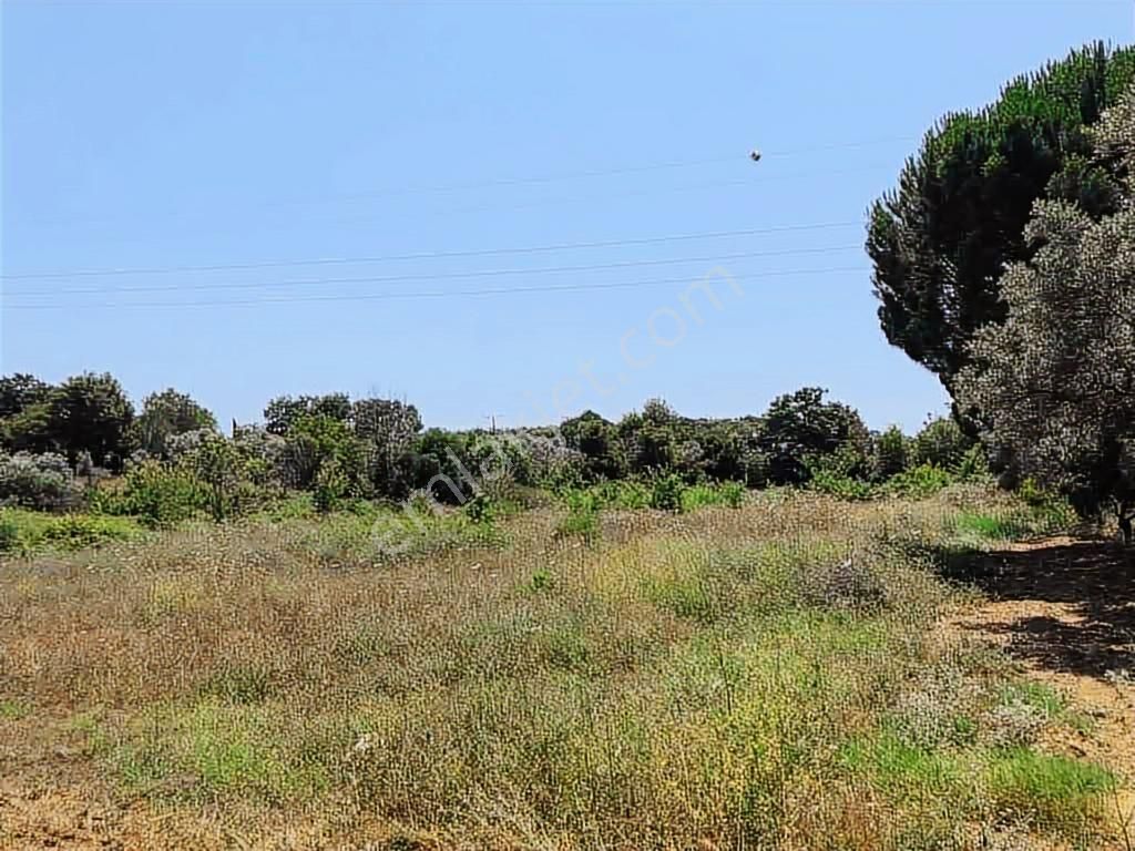 Kuşadası Yeniköyde Emsallerinden Uygun Satılık Tarla - Görsel 3
