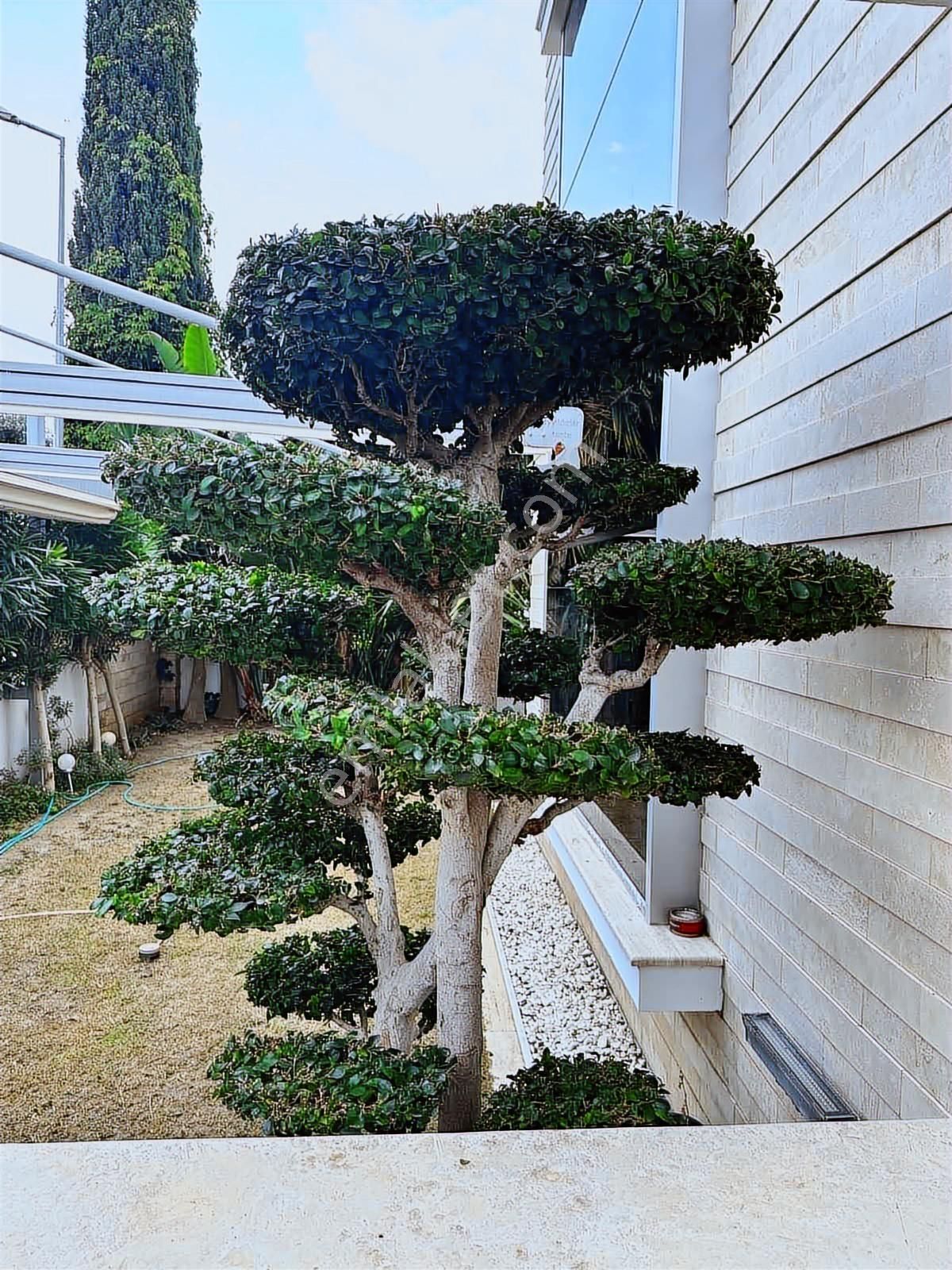 Full Deniz Manzaralı Lüks Satılık Villa - Görsel 19