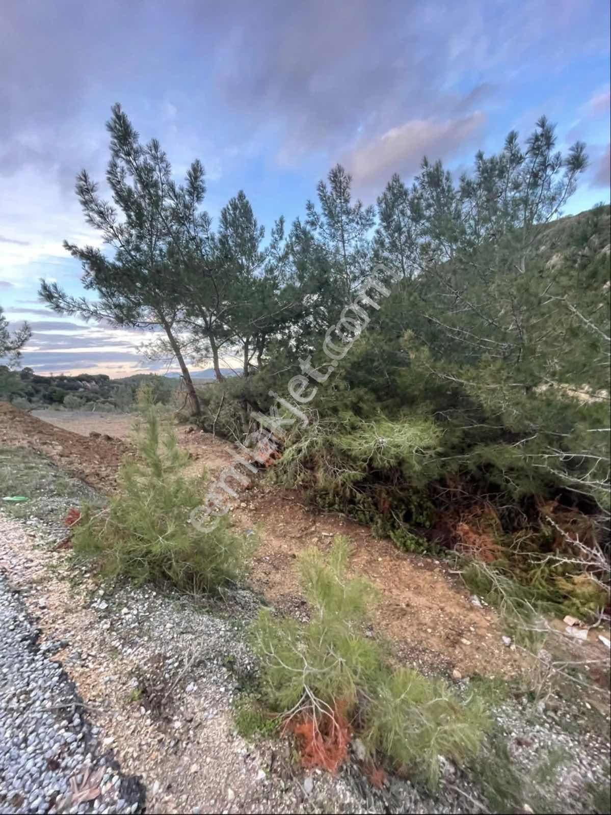 Kirazlıda Yol Kenarı Satılık Arsa - Görsel 12