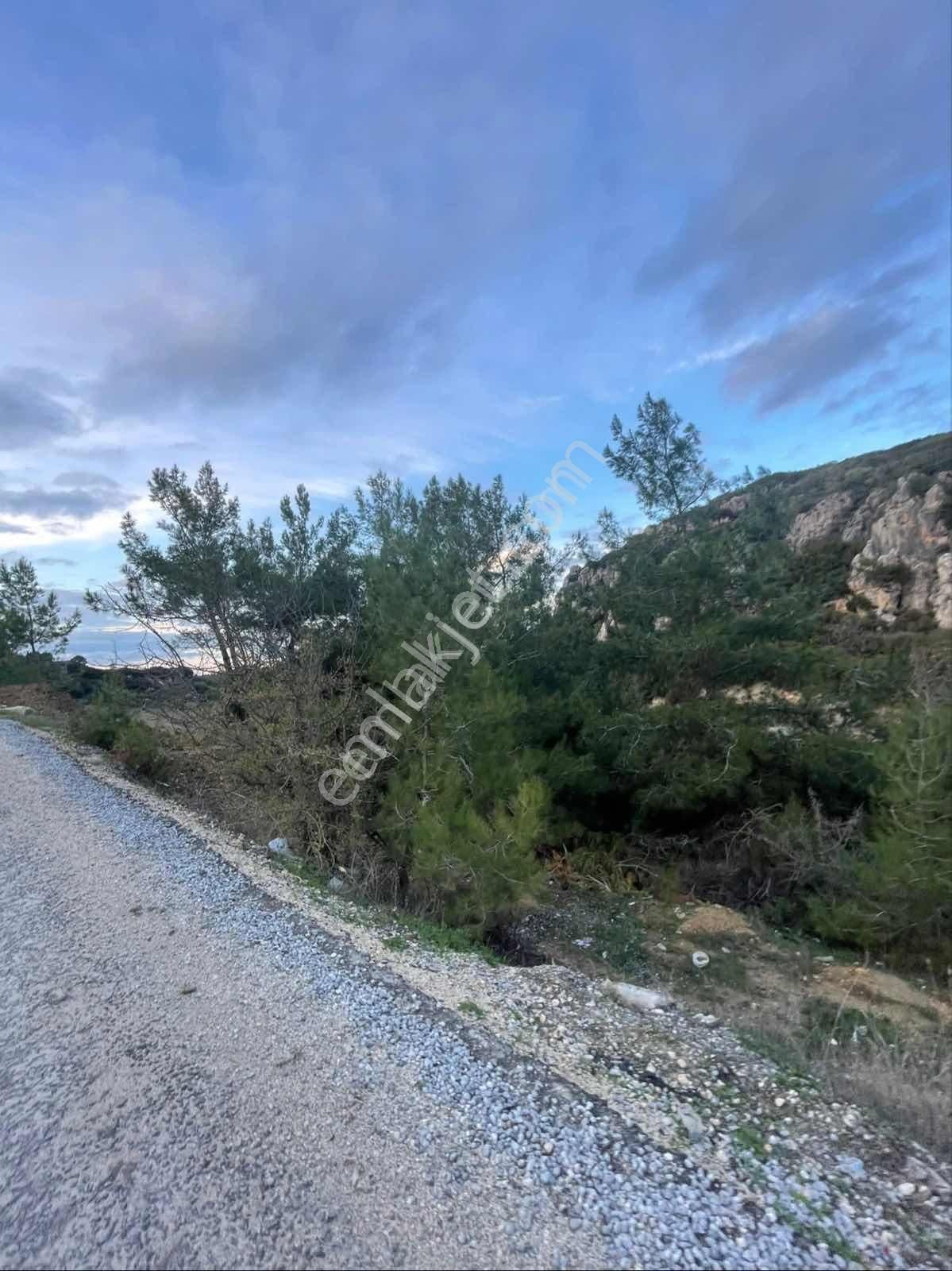 Kirazlıda Yol Kenarı Satılık Arsa - Görsel 5