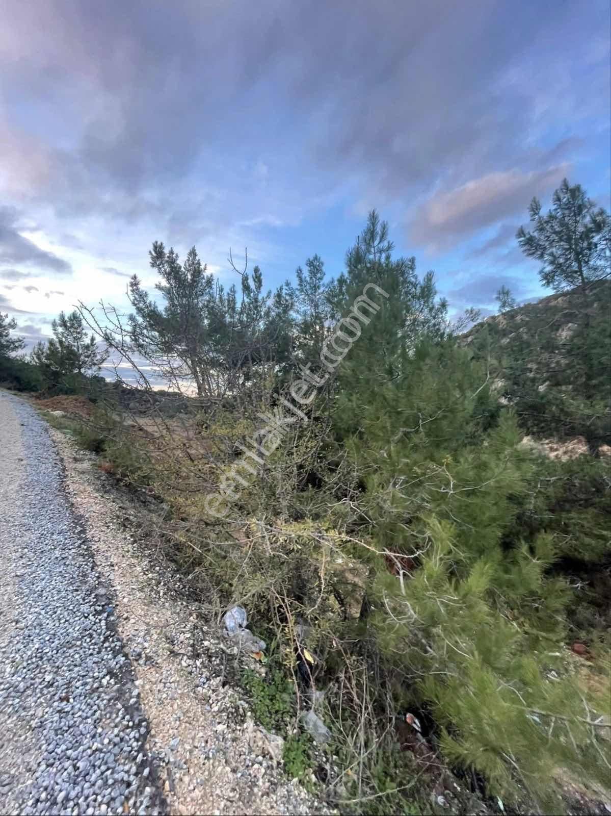 Kirazlıda Yol Kenarı Satılık Arsa - Görsel 2