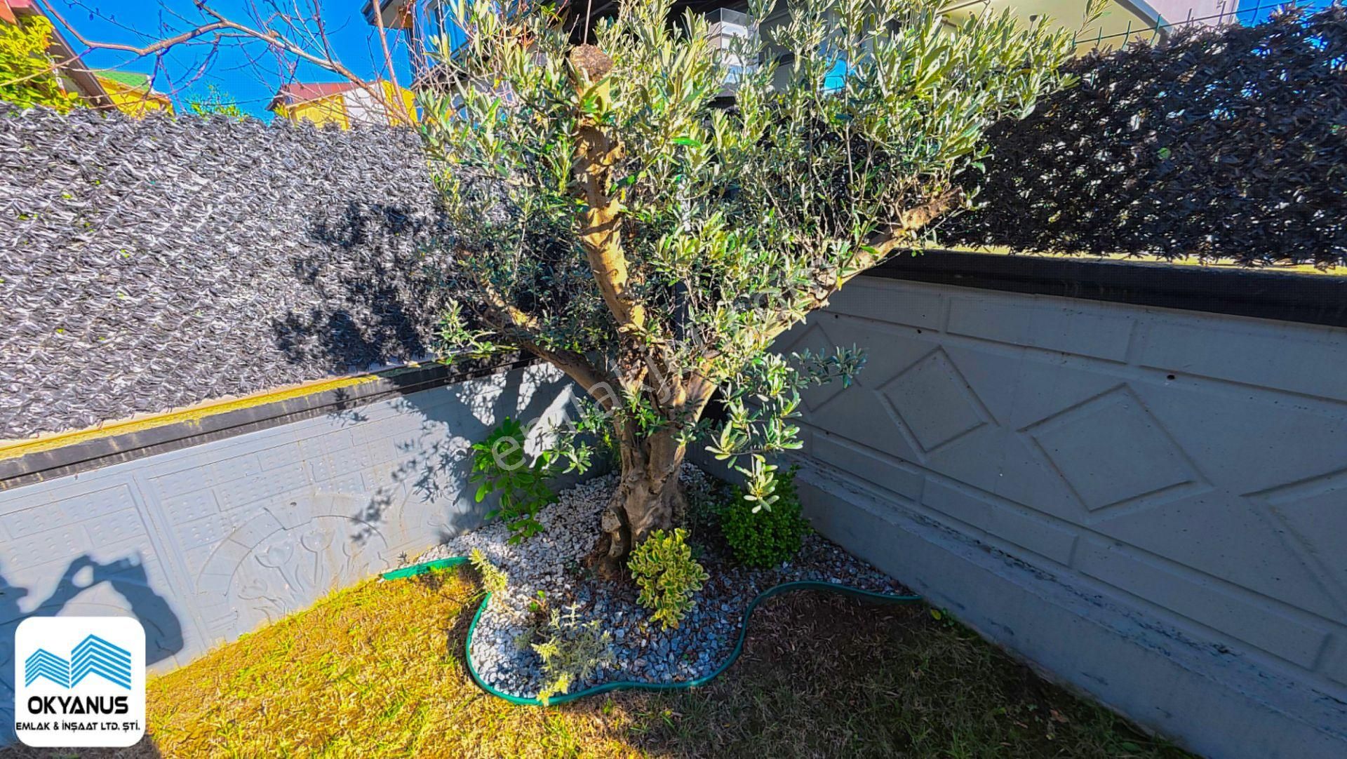 Kocaali De Geniş Bahçeli 4+1 Villa Plaja Çok Yakın - Görsel 12