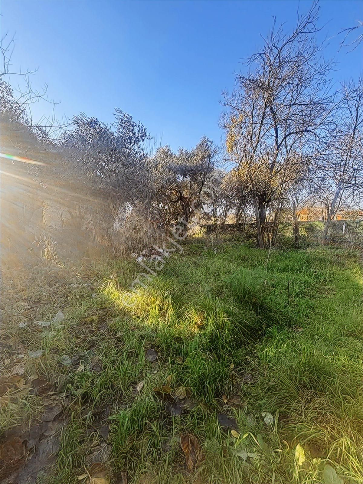 Kuşadası Kirazlı Köyü'nde Satılık Arsa - Görsel 16