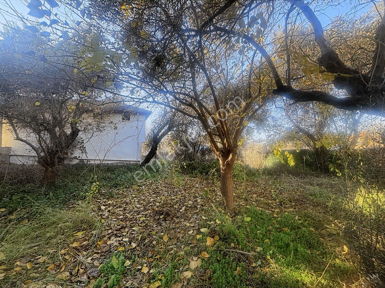 Kuşadası Kirazlı Köyü'nde Satılık Arsa - Görsel 11