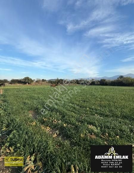 3 Parsel Birlikte Satılık Tarla - Görsel 2