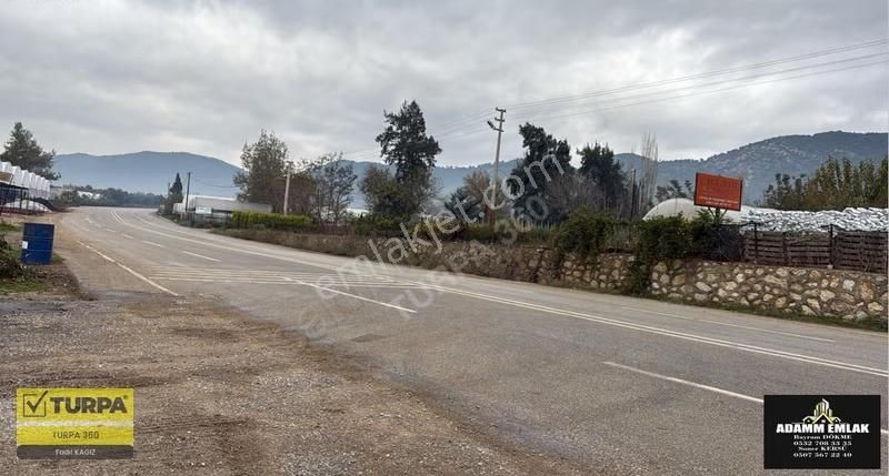 Satılık Zeytinlik - Görsel 6