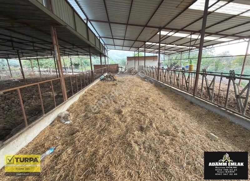 Satılık/kiralık Çiftlik - Görsel 5