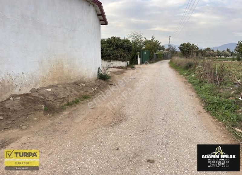 Satılık/kiralık Çiftlik - Görsel 2