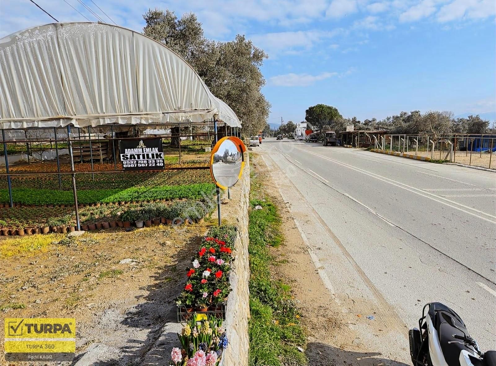 İzmir Ana Yola Sıfır Zeytinlik - Görsel 10