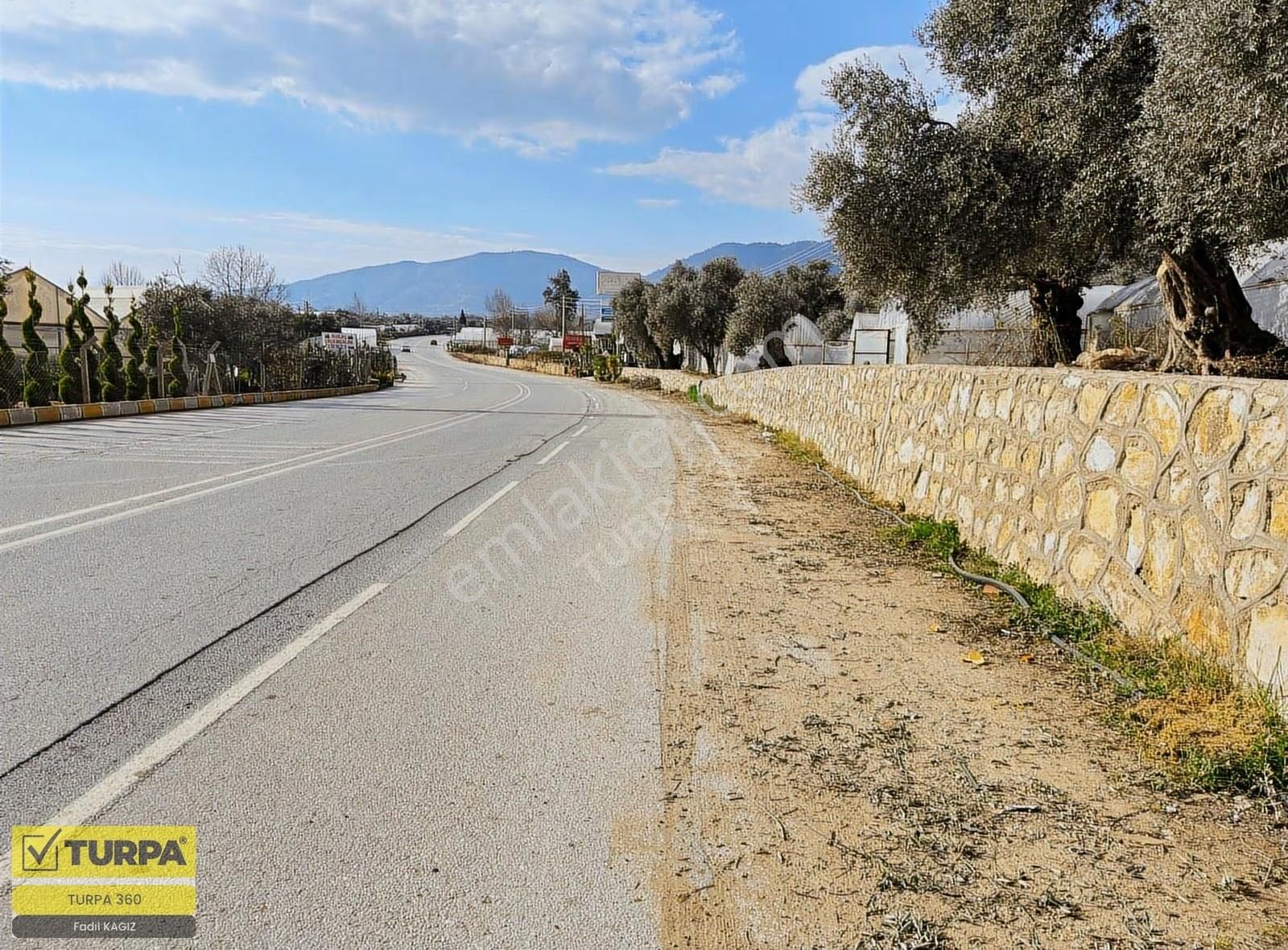 İzmir Ana Yola Sıfır Zeytinlik - Görsel 6