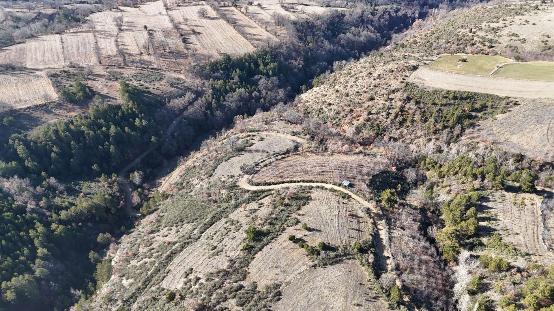 Konya / Doğanhisar / Kemer Mahallesinde 2.108 M² Müstakil Tapulu Tarla - Görsel 3