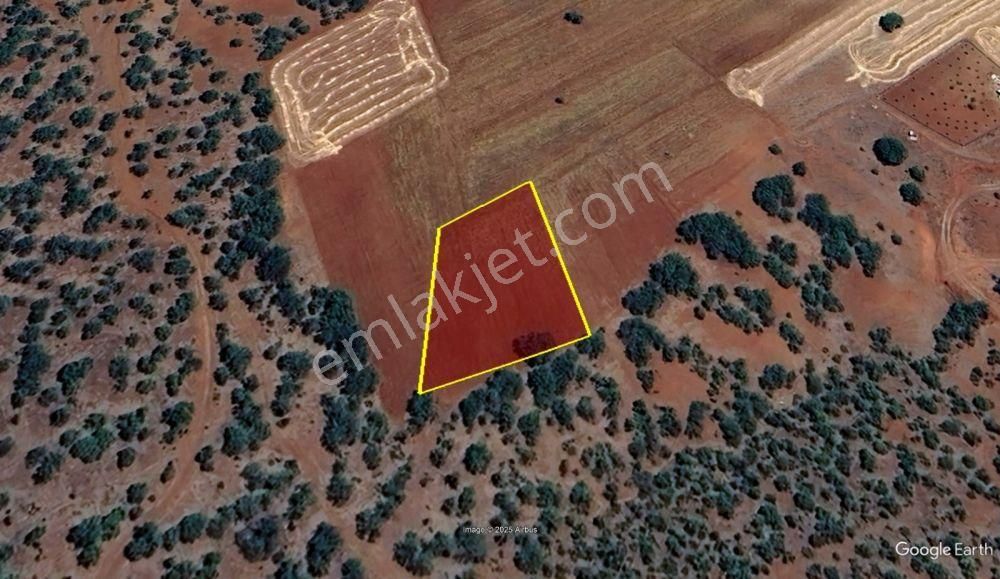 Konya / Güneysınır / Kızılöz Mahallesinde 1.750 M² Müstakil Tapulu Tarla - Görsel 2