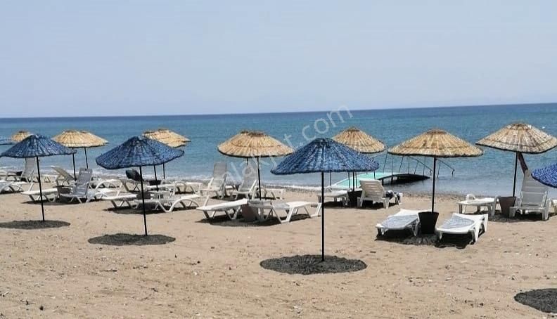 İzmir Gümüldür Denize Sıfır Havuzlu Sitede Yazlık Villa - Görsel 13