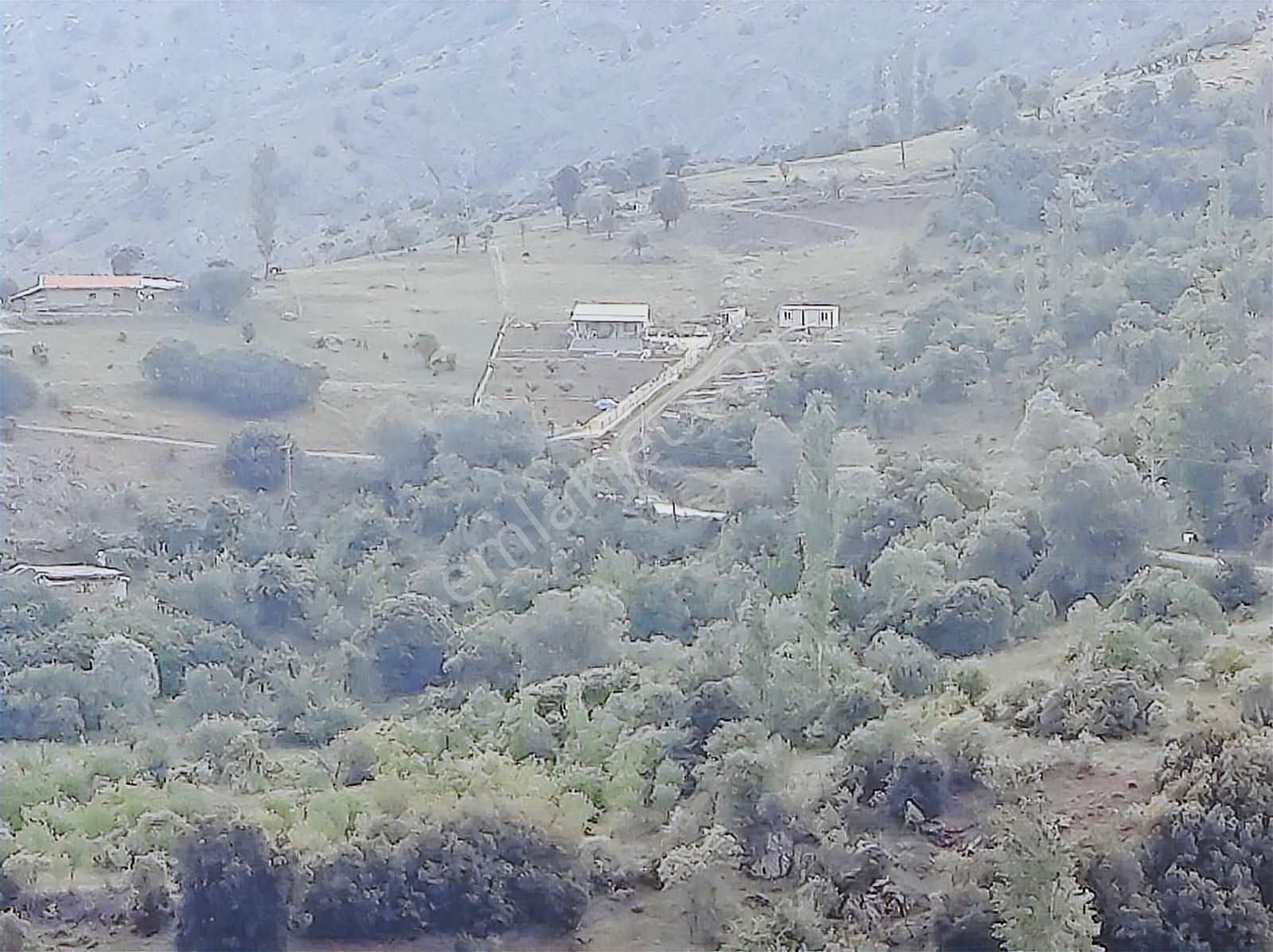 Yazlık Villa Arsası - Görsel 3