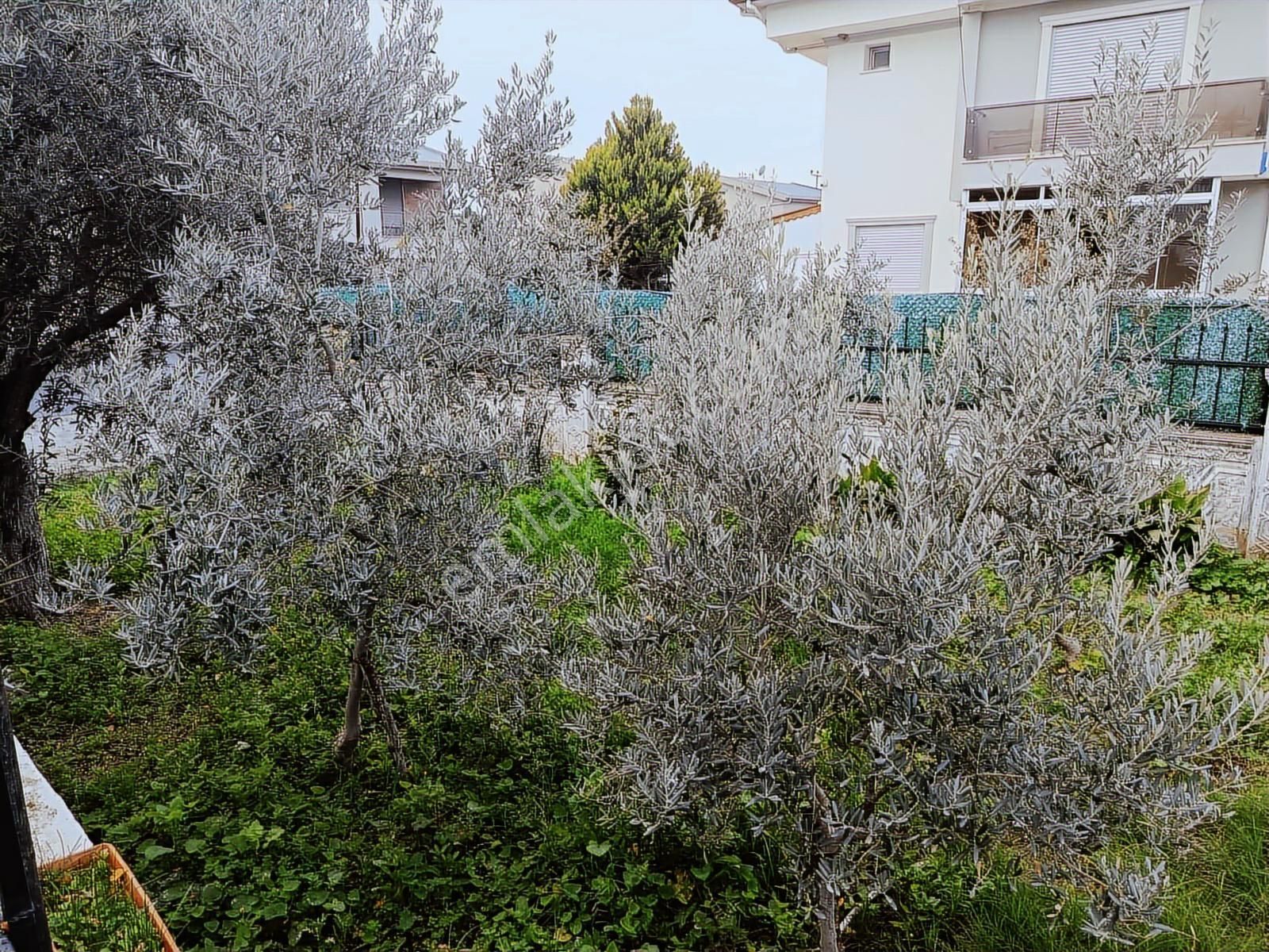 Aşağışakran'da Denize 150m 3+1 Satılık Müstakil Ev - Görsel 7