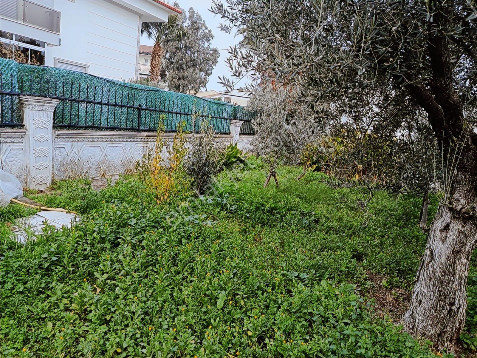 Şakran'da Denize 150m 3+1 Satılık Müstakil Ev - Görsel 2