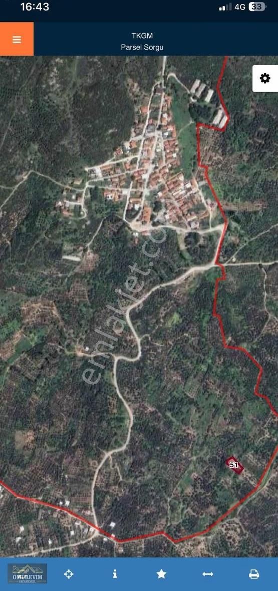 Ömürevimden Erdek Belkıs'ta Satılık 950 M2 Zeytinlik - Görsel 2